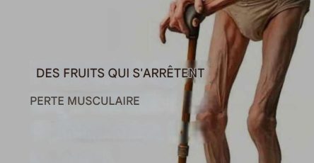 3d04dccc 3b6f 4ff5 968f 418ac04e5c21